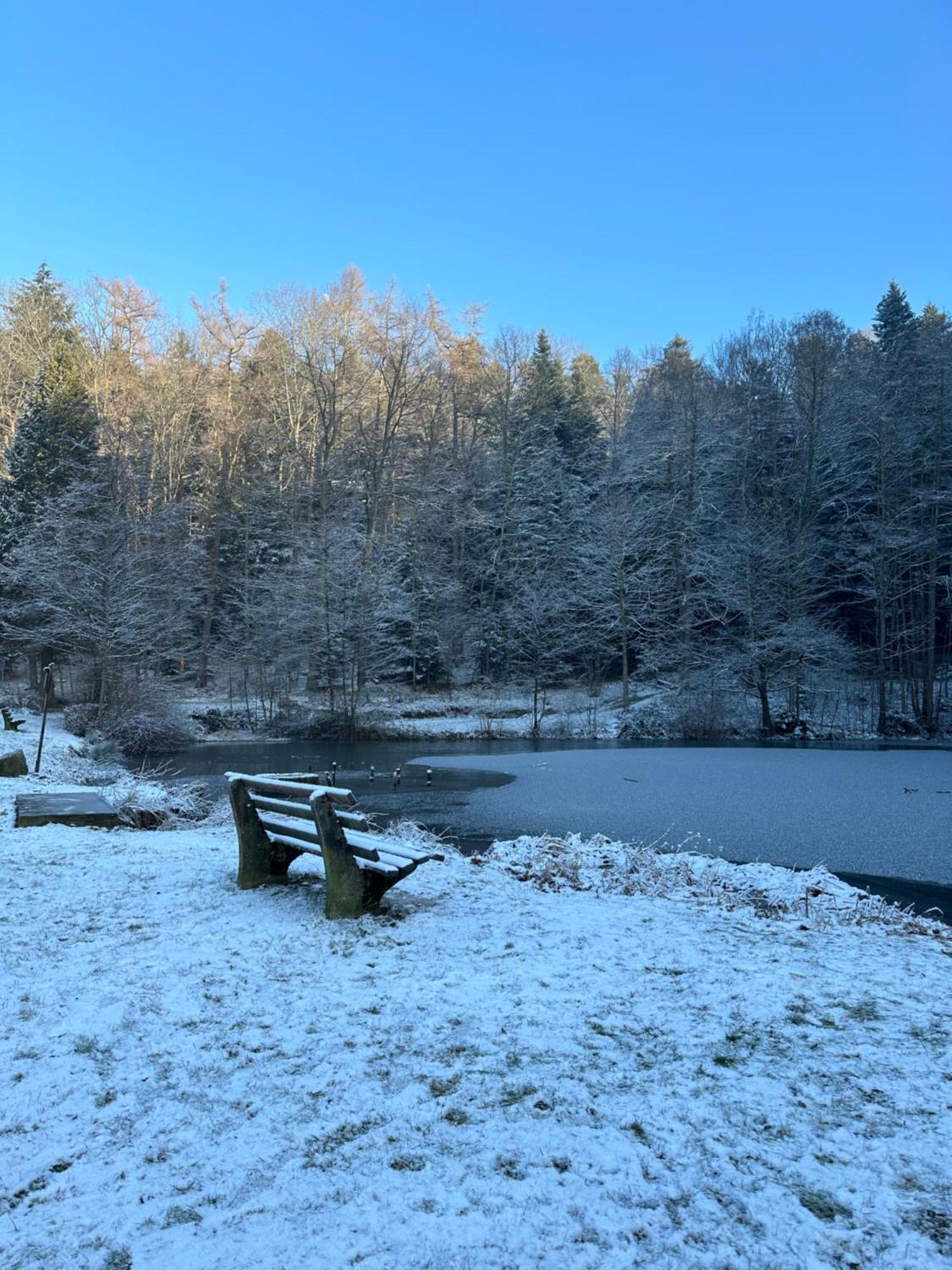 Fewo “Ruhige Momente” In Waldkirch Exterior photo