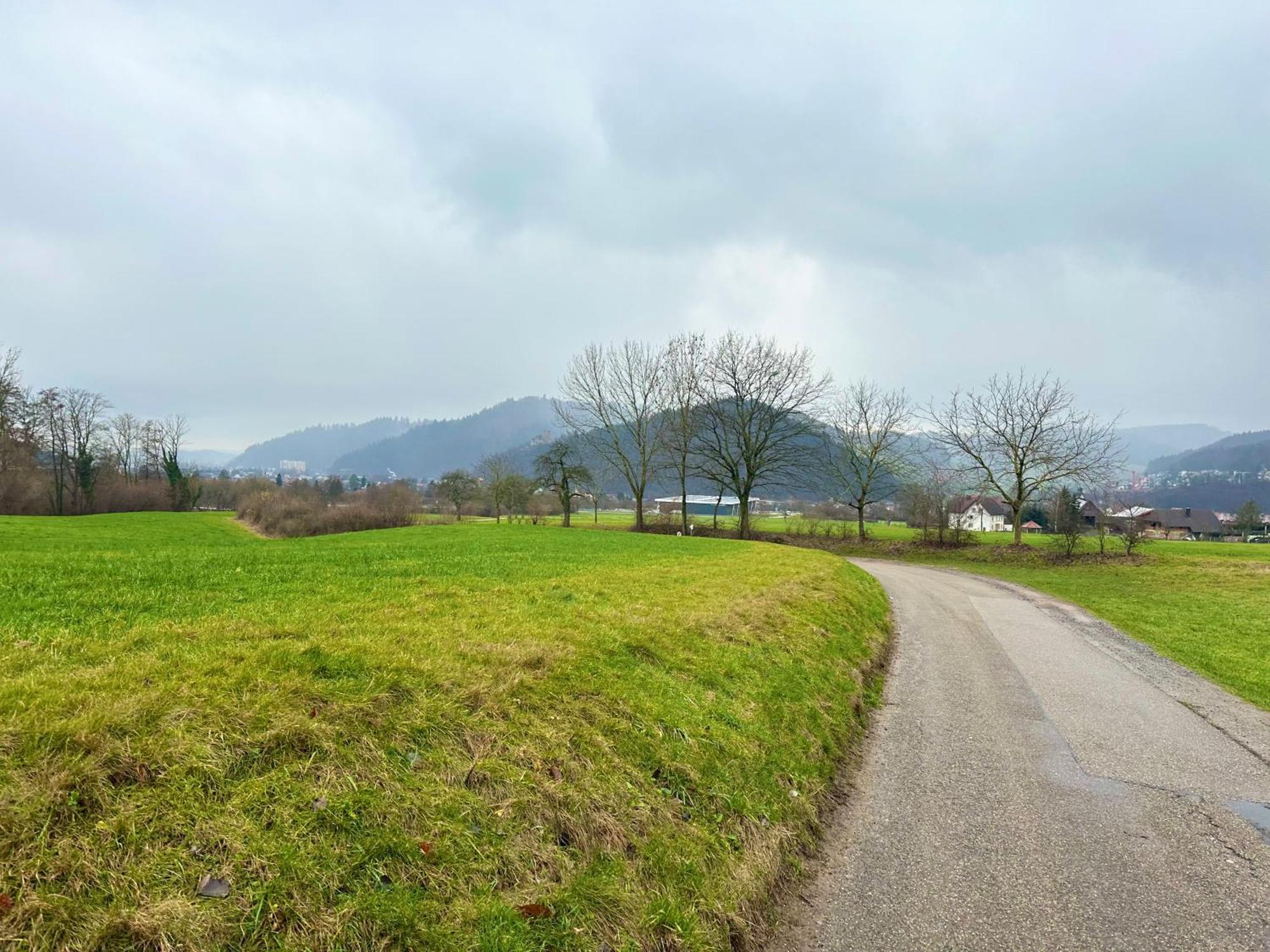 Fewo “Ruhige Momente” In Waldkirch Exterior photo