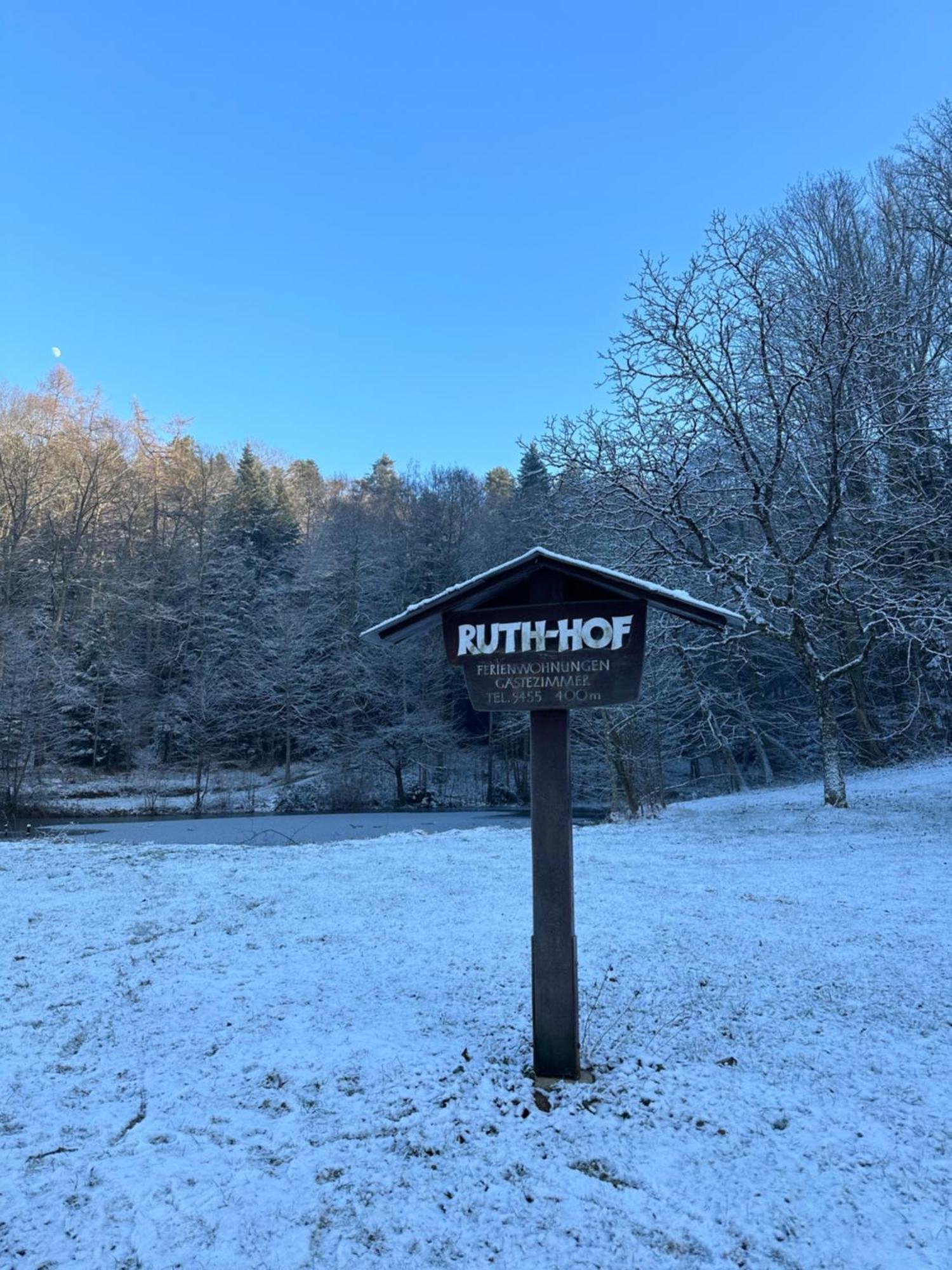 Fewo “Ruhige Momente” In Waldkirch Exterior photo